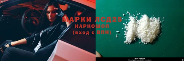 прущие грибы Алзамай